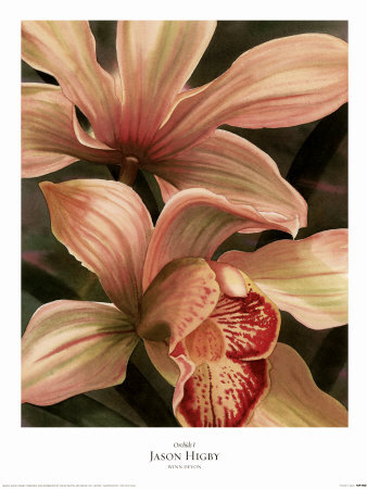 Orchids I by Jason Higby Pricing Limited Edition Print image