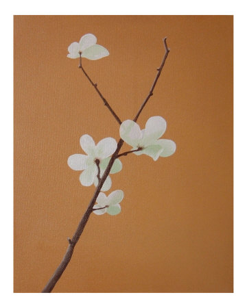 Blossom I by Anna Van Zwol Pricing Limited Edition Print image