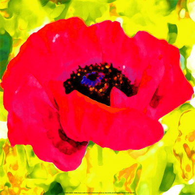 Pink Poppy by Yvonne Dulac Pricing Limited Edition Print image