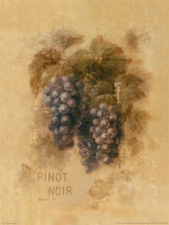 Pinot Noir Grapes by Danhui Nai Pricing Limited Edition Print image