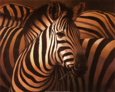 Zebra Grande by T. C. Chiu Pricing Limited Edition Print image