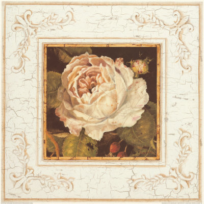Rose Blanche by Kathryn White Pricing Limited Edition Print image