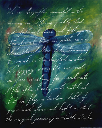 Dragonfly by Caitlin Dundon Pricing Limited Edition Print image