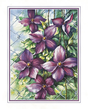 Clematis Vines by Peggy Thatch Sibley Pricing Limited Edition Print image