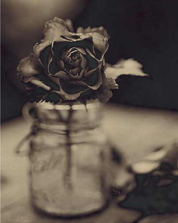 Rose Jar Iv by Edmund Barr Pricing Limited Edition Print image