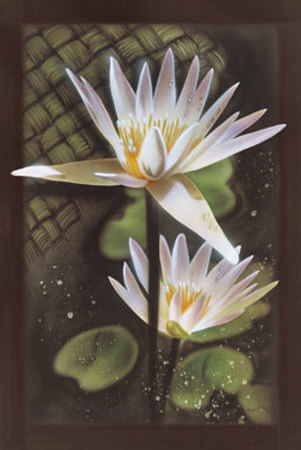 Water Lily Ii by Noah Pricing Limited Edition Print image