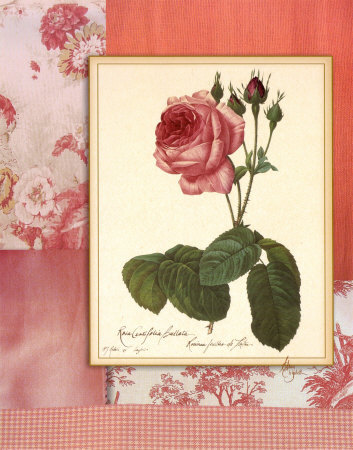 Shabby Chic Rose Ii by Mary Elizabeth Pricing Limited Edition Print image
