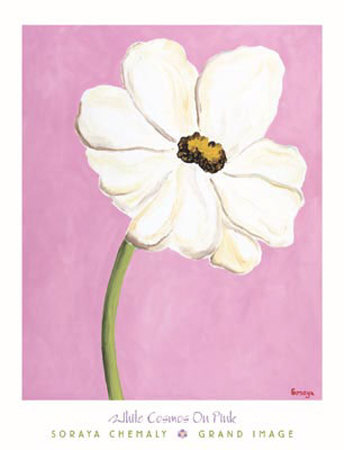 White Cosmos On Pink by Chemaly Soraya Pricing Limited Edition Print image