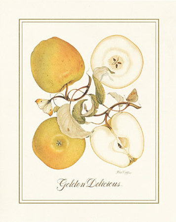 Golden Delicious by Nan Wiggins Pricing Limited Edition Print image