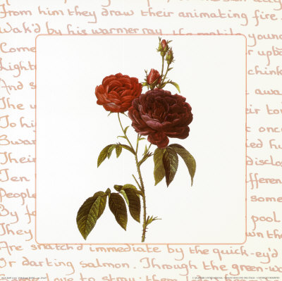 Roses Iv by Pierre-Joseph Redoute Pricing Limited Edition Print image