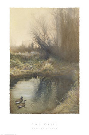 Two Geese by Barbara Kalhor Pricing Limited Edition Print image