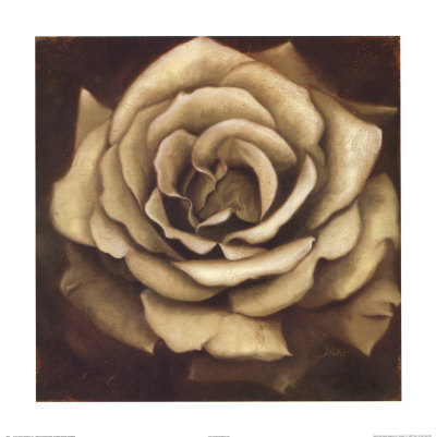 Rosa Blanca Pero Negra by Patricia Quintero-Pinto Pricing Limited Edition Print image