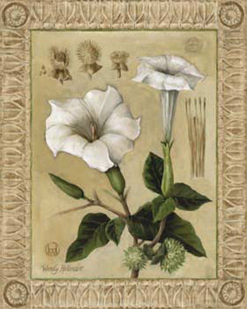 Angel Trumpet Ii by Wendy Hollender Pricing Limited Edition Print image