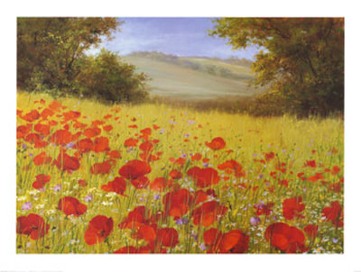 Sparkling Field Ii by Heinz Scholnhammer Pricing Limited Edition Print image
