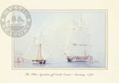White Squadron (Card) by Tim Thompson Pricing Limited Edition Print image