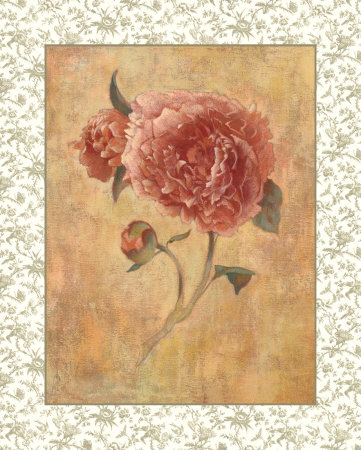 Antique Peony I by Linda Hanly Pricing Limited Edition Print image