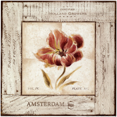 Amsterdam Tulip by Lauren Hamilton Pricing Limited Edition Print image