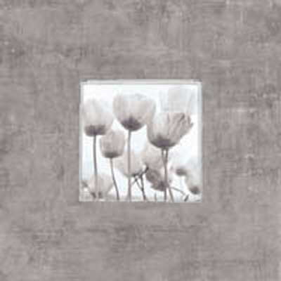 Tulips On Pewter by Claire Beaumont Pricing Limited Edition Print image