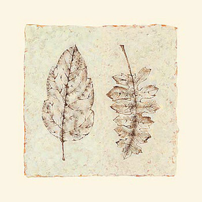 Turning Leaves Ii by Kate Mawdsley Pricing Limited Edition Print image
