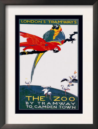 The London Zoo: The Macaw by Van Jones Pricing Limited Edition Print image
