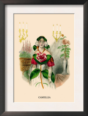 Camellia by J.J. Grandville Pricing Limited Edition Print image