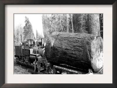 The Desecrated Fir by Clark Kinsey Pricing Limited Edition Print image