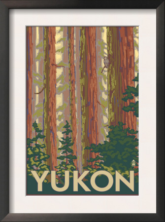 Yukon, Canada - Forest View, C.2009 by Lantern Press Pricing Limited Edition Print image