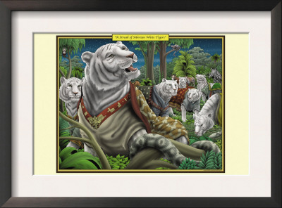A Streak Of Siberian White Tigers by Richard Kelly Pricing Limited Edition Print image