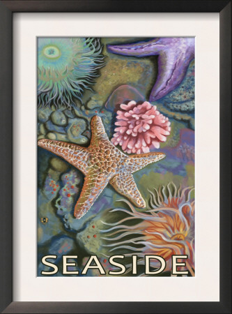 Tidepools - Seaside, Oregon, C.2009 by Lantern Press Pricing Limited Edition Print image