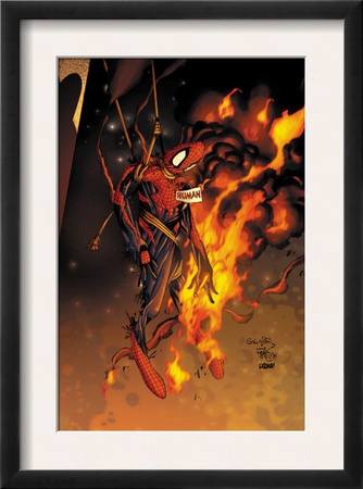 Spider-Man: House Of M #3 Cover: Spider-Man by Salvador Larroca Pricing Limited Edition Print image