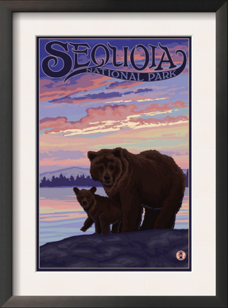Sequoia Nat'l Park - Bear And Cub - Lp Poster, C.2009 by Lantern Press Pricing Limited Edition Print image