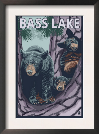 Bass Lake, California - Bears In Tree, C.2009 by Lantern Press Pricing Limited Edition Print image
