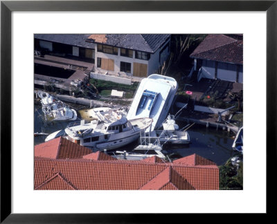 Coral Gables, Florida After Hurricane Andrew by Scott T. Smith Pricing Limited Edition Print image