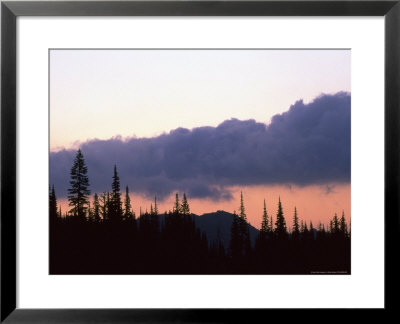 Sunset, Reflection Lake, Mt. Rainier National Park, Wa by Brian Maslyar Pricing Limited Edition Print image