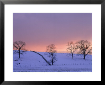 Trees In The Snowy Field by Charles Shoffner Pricing Limited Edition Print image