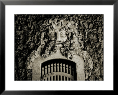 A Gate With A Face Made From Coral by John Glembin Pricing Limited Edition Print image