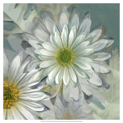 Daisy Garden I by Francine Funke Pricing Limited Edition Print image