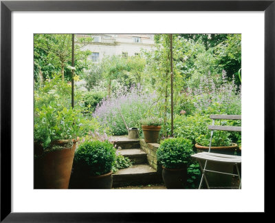 Steps Up To Small City Garden, Pair Of Buxus In Containers, Watering Can, Chair by Mark Bolton Pricing Limited Edition Print image