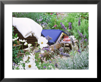 Scented Border For Relaxing In The Garden, White Cosmos & Lavender In Foreground, Bay & Lavender by Linda Burgess Pricing Limited Edition Print image