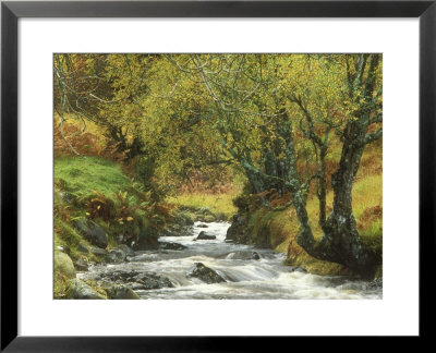 River In Autumn by David Boag Pricing Limited Edition Print image