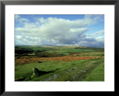 Dartmoor, Devon by David Cayless Pricing Limited Edition Print image