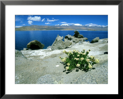 Lake Karakul, Russia by Martyn Colbeck Pricing Limited Edition Print image