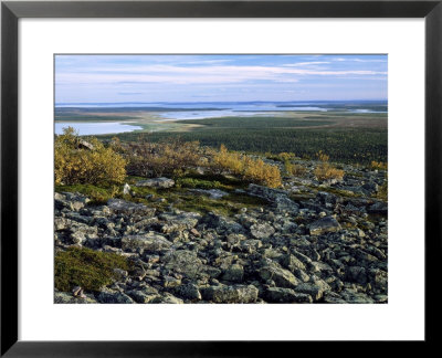 View From The Fell In Autumn, North Finland by Heikki Nikki Pricing Limited Edition Print image