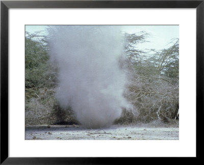 Dust Devil, Kenya by Oxford Scientific Pricing Limited Edition Print image