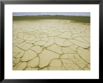 Dried And Cracked Mud Beside Skeleton Coast In West Coast Recreational Area, Namibia by Richard Packwood Pricing Limited Edition Print image