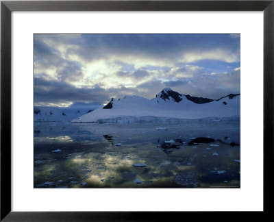 Grease Ice And Open Pack Ice, Antarctic Peninsula by Rick Price Pricing Limited Edition Print image