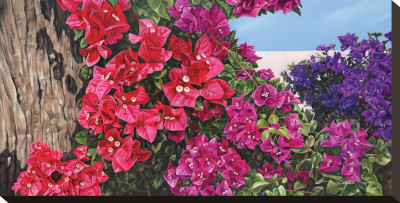 Bougainvillia by Pamela Jablonski Pricing Limited Edition Print image