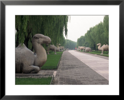 Ming Tombs, Beijing, China by Craig J. Brown Pricing Limited Edition Print image