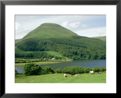 View South-West To Carling Knott And Blake Fell, The Lake District, Uk by Ian West Pricing Limited Edition Print image