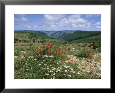 Causse Mejean, Gorges Du Tarn Behind, Lozere, Languedoc-Roussillon, France by David Hughes Pricing Limited Edition Print image